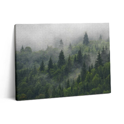 Foto obraz canvas 80x60 Krajobraz lasu we mgle