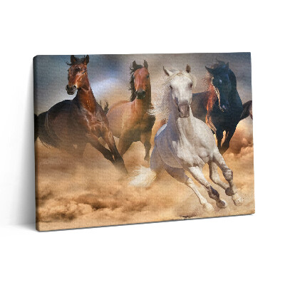 Obraz na płótnie 80x60 Konie szarżują w galopie
