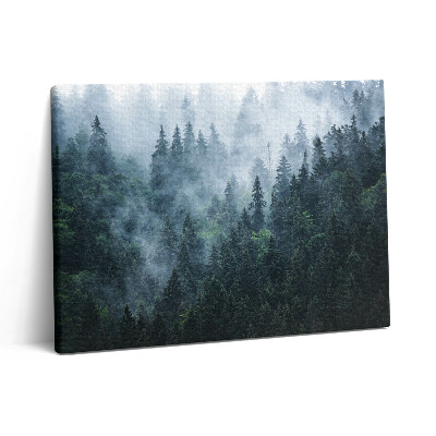Fotoobraz canvas 80x60 Mglisty górski krajobraz