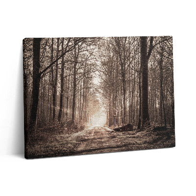 Obraz na płótnie 80x60 Leśna ścieżka w kolorach sepii