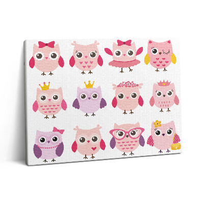 Fotoobraz canvas 80x60 Kolorowe sowy w dziecięcym stylu