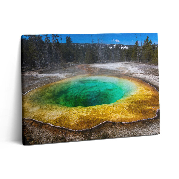 Foto obraz canvas 80x60 Gorące źródła w Yellowstone