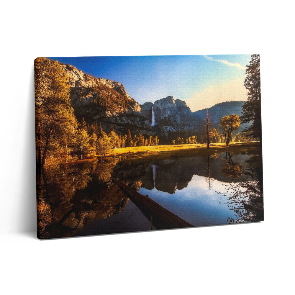 Foto obraz canvas 80x60 Las w parku Yosemite