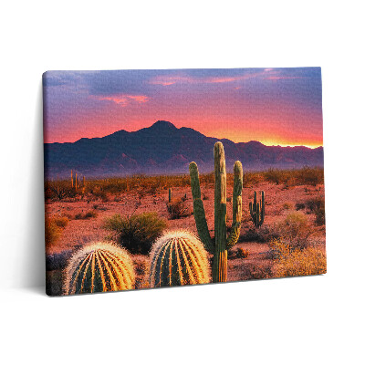 Nowoczesny obraz na płótnie 80x60 Zachód słońca na pustyni