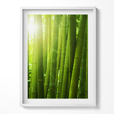 Obraz w ramce Zielone łodygi bambusa