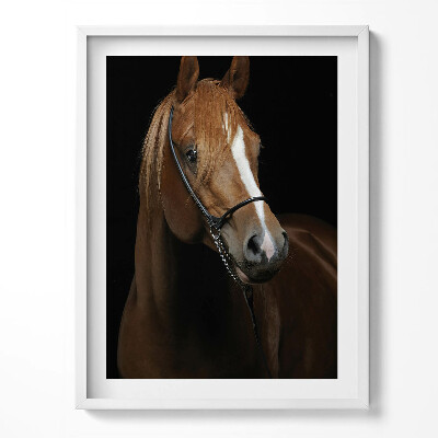 Obraz w ramce Koń brązowy rumak
