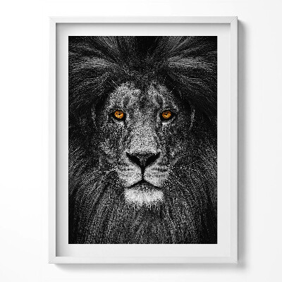 Obraz w ramce Czarno-biała głowa lwa