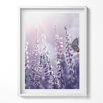 Obraz w ramce Motyl na polnych kwiatach