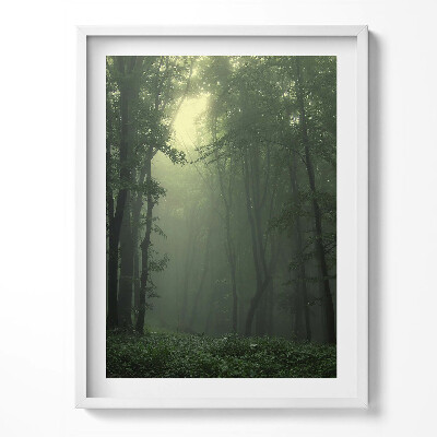Obraz w ramce Mglisty las o poranku