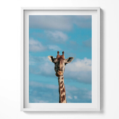Obraz w ramce Głowa żyrafy na tle nieba