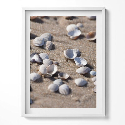 Obraz w ramce Muszelki na plaży