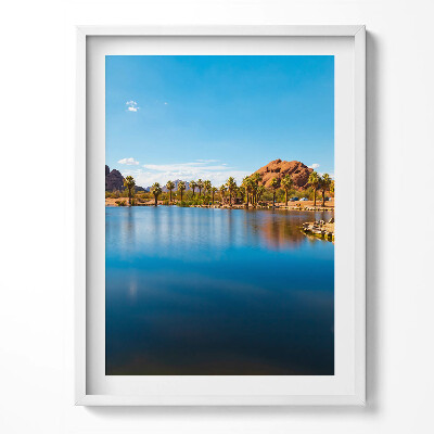 Obraz w ramce Sceneria parku Papago