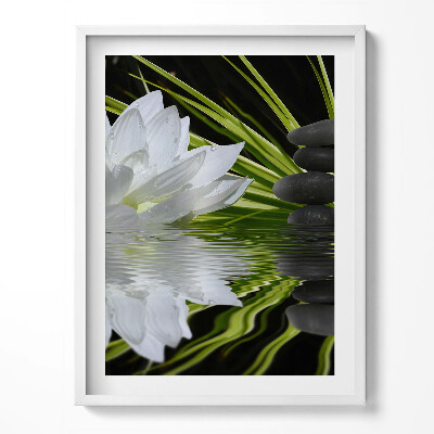 Obraz w ramce Lilia wodna i liście