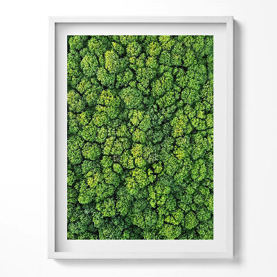 Obraz w ramce Las z lotu ptaka