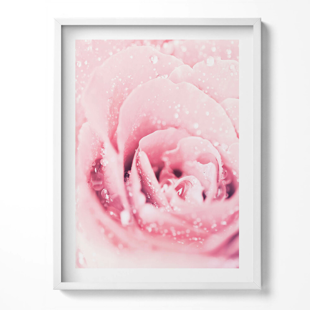 Obraz w ramce Różowy Delikatny Kwiat