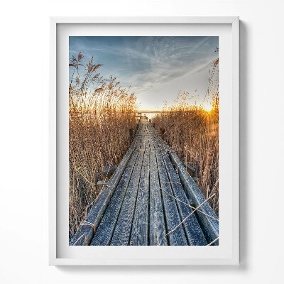 Obraz w ramce Drewniana droga wśród trwa