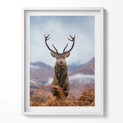 Obraz w ramce Jeleń na górskiej polanie
