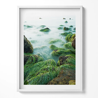 Obraz w ramce Trawy na brzegu rzeki