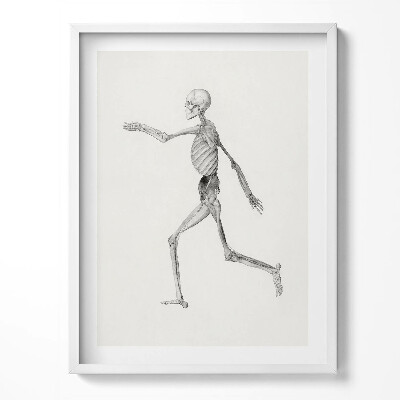 Obraz w ramce Rysunek kościotrupa