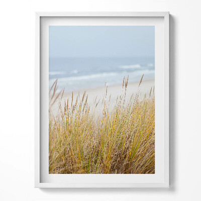 Obraz w ramce Pejzaż nadmorskiej plaży i traw