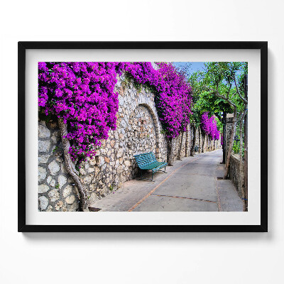 Obraz z ramką Droga z kwiatami na Capri we Włoszech
