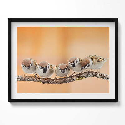 Obraz z ramką Ptaki na gałęzi