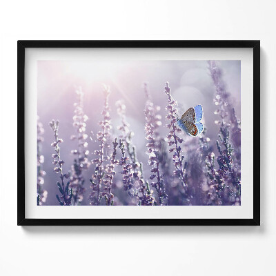 Obraz z ramką Motyl na polnych kwiatach