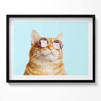 Obraz z ramką Śmieszny kot w okularach
