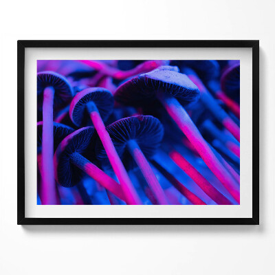 Obraz z ramką Magiczne kolorowe grzyby