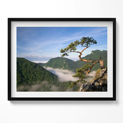 Obraz z ramką Sokolica Wierch w Pieninach