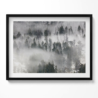 Obraz z ramką Pejzaż zamglony las