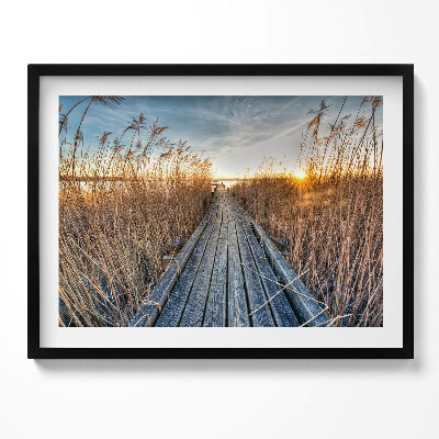 Obraz z ramką Drewniana droga wśród trwa