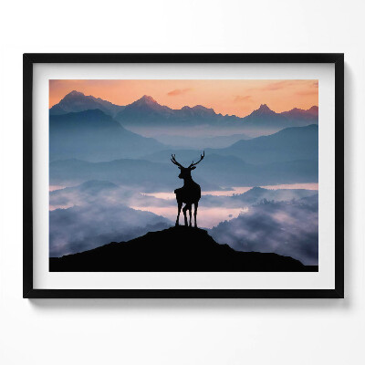 Obraz z ramką Jeleń na szczycie gór
