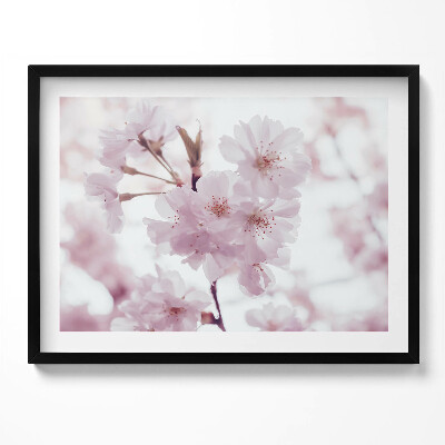 Obraz z ramką Delikatne bladoróżowe kwiaty