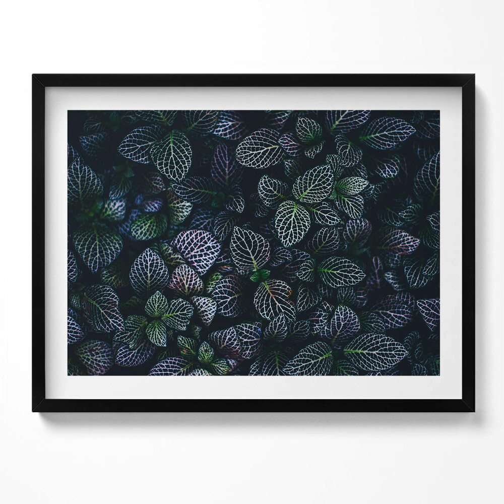 Obraz z ramką Ciemne dzikie liście