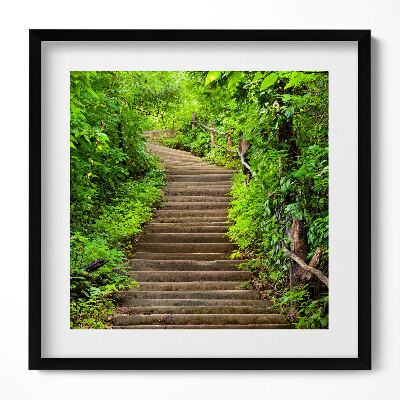 Obraz w drewnianej ramce Schody w środku lasu