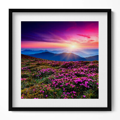 Obraz w drewnianej ramce Wschód słońca kwiaty