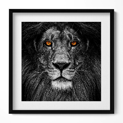 Obraz w drewnianej ramce Czarno-biała głowa lwa