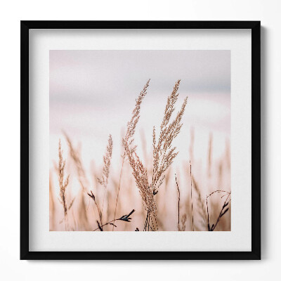 Obraz w drewnianej ramce Natura trawa styl boho