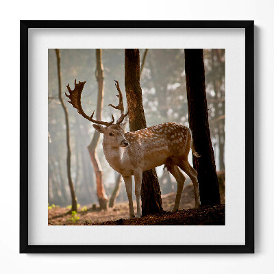 Obraz w drewnianej ramce Jeleń w blasku wschodzącego słońca