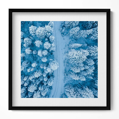 Obraz w drewnianej ramce Las z lotu ptaka Dron