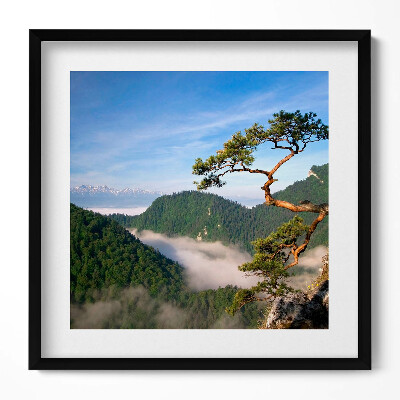 Obraz w drewnianej ramce Sokolica Wierch w Pieninach