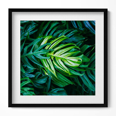 Obraz w drewnianej ramce Dzikie liście monstery