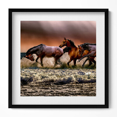 Obraz w drewnianej ramce Pędzące w wodzie konie