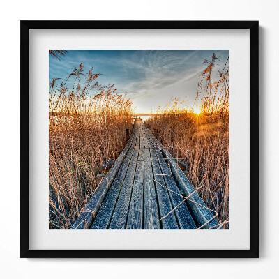 Obraz w drewnianej ramce Drewniana droga wśród trwa