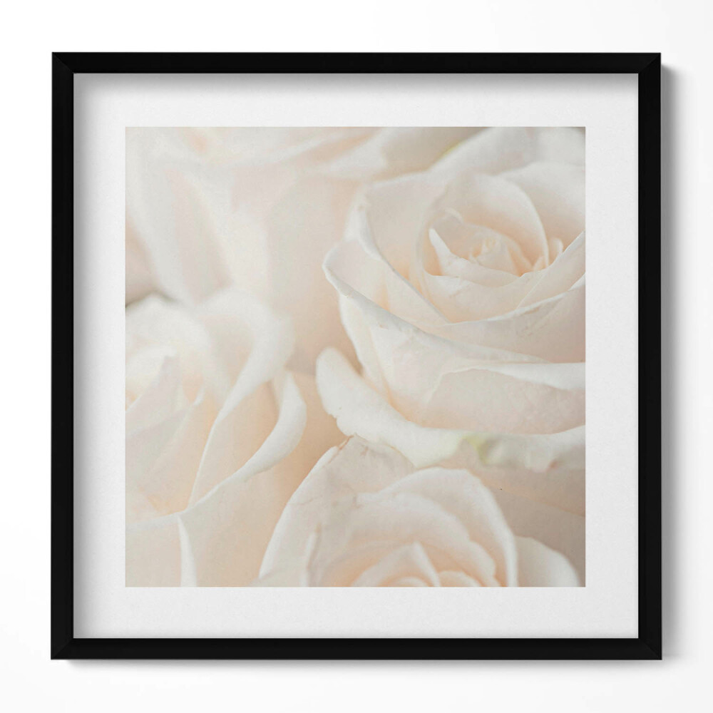 Obraz w drewnianej ramce Białe delikatne różne