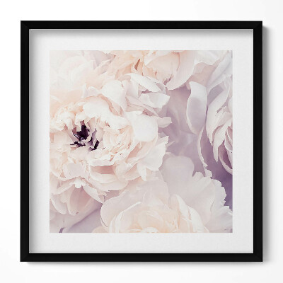 Obraz w drewnianej ramce Delikatne kwiaty piwonii