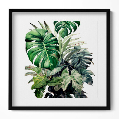 Obraz w drewnianej ramce Malowane liście monstery