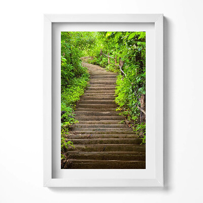 Obraz w ramie Schody w środku lasu