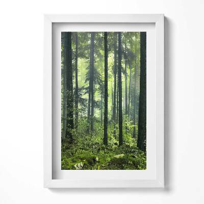 Obraz w ramie Pejzaż drzew i roślinności lasu